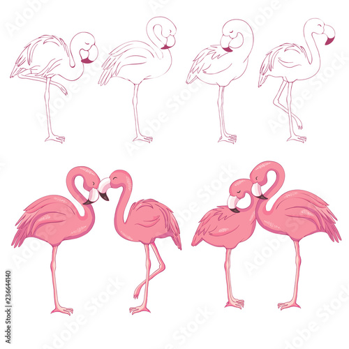 Sketched flamingos vector