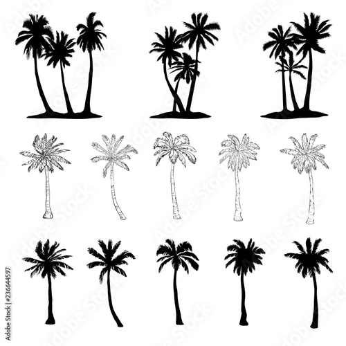 Vector palm tree silhouette icons on white background.