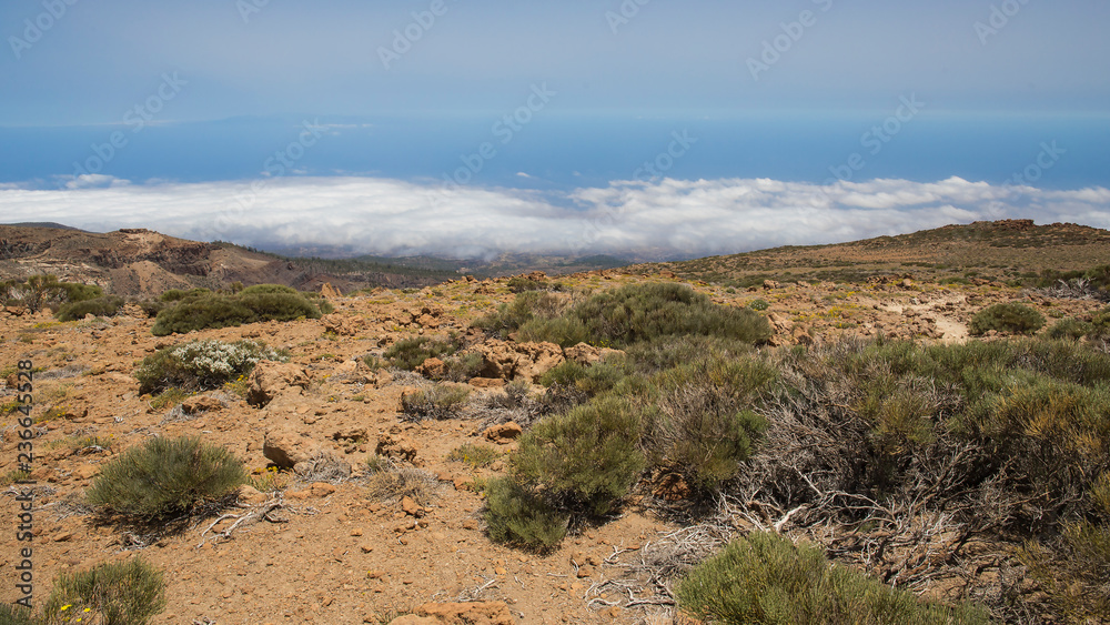 Vista desde el Guajara del sur de Tenerife