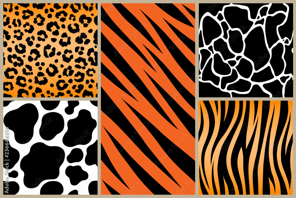 Print set safari jungle animal fur stripe animals bengal tiger giraffe  texture pattern white black orange Stock Vector | Adobe Stock