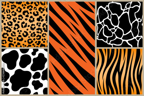 Print set safari jungle animal fur stripe animals bengal tiger giraffe texture pattern white black orange