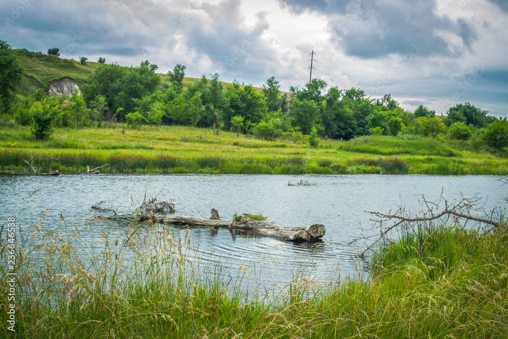 Summer landscape with forest and river, dry log – cut tree trunk in a water, green trees, grass, bull rush on a coast and dark clouds in the sky. Summer landscape with forest and river, dry log – cut tree trunk in a water, green trees, grass, bull rush on a coast and dark clouds in the sky.