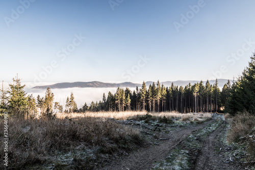 late autumn mountain scenery with trail, meadow, trees, mist in lower altitzdes, hills and clear sky above mist level photo