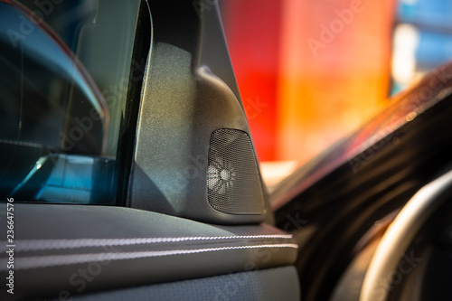 Music speaker in the interior of the premium SUV