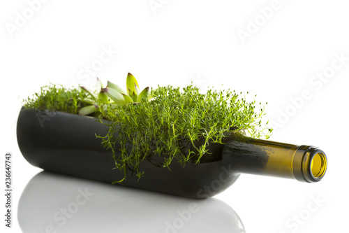 Upcycled wine bottle vase with green plant