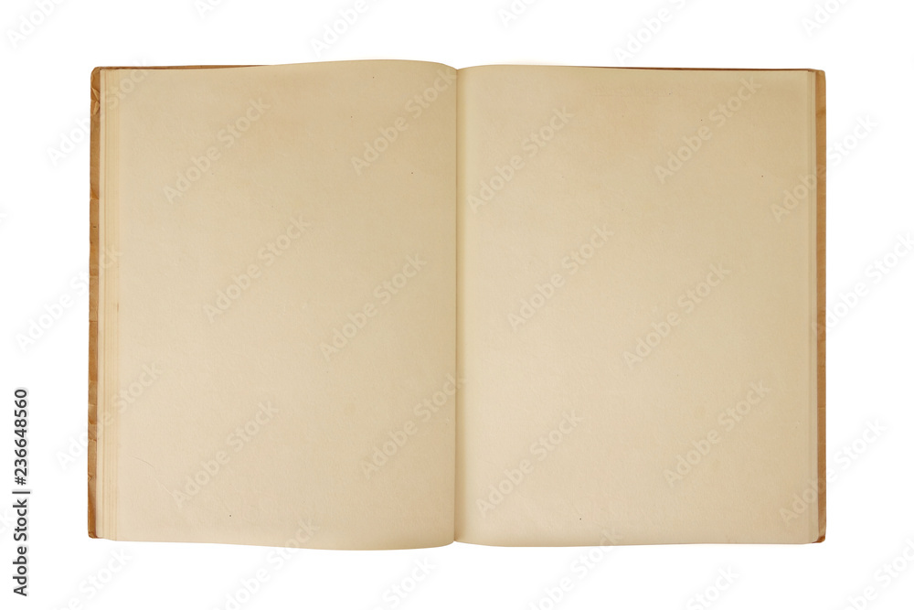 Ancient book blank pages. Ancient book blank pages.
