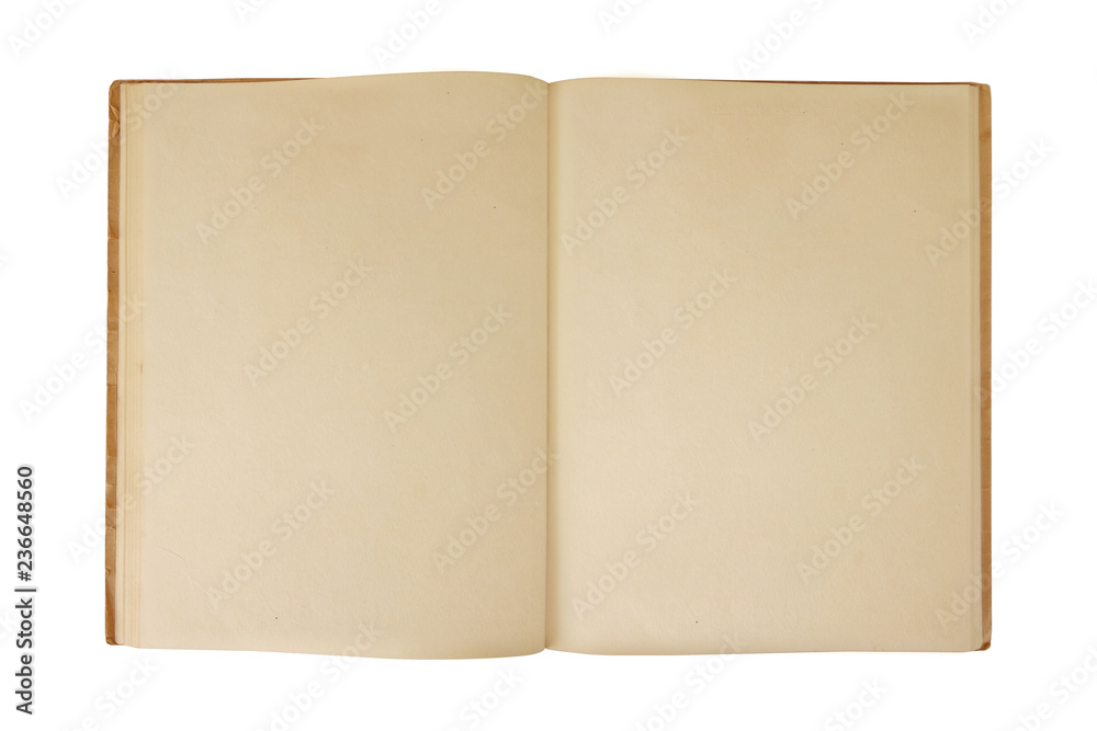 Ancient book blank pages.