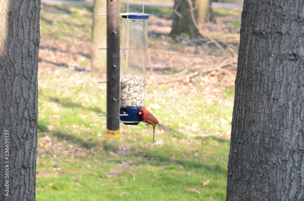 Naklejka premium Sunset Over Lake Michigan