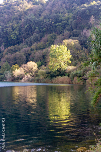 shot of light on a tree that is reflected in the lake © ciroorabona