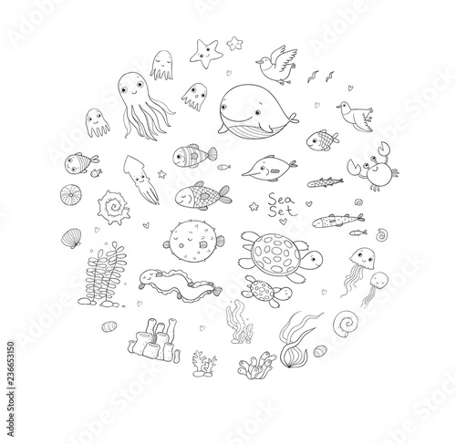 Big set of marine. Sea theme. Cute cartoon turtle starfish  funny fish  jellyfish and sea horse  seaweed and a bottle with a note.