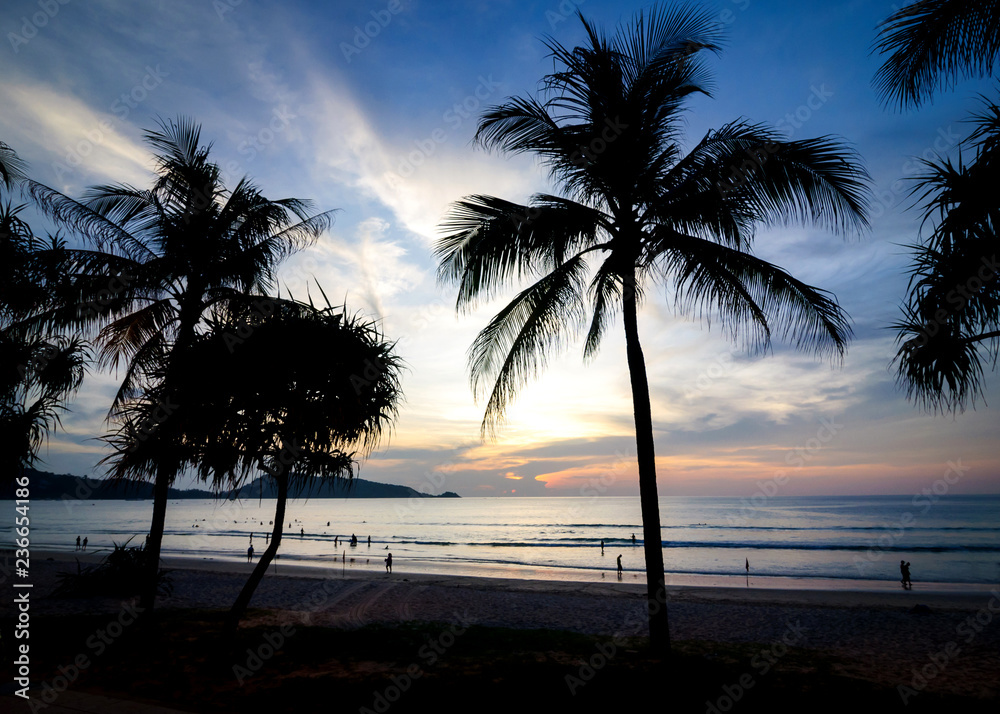 Palm trees on Patong beach during sunset.