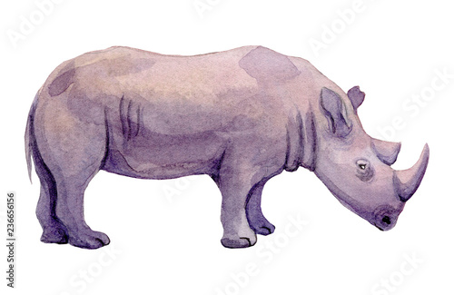 Watercolor illustration of a standing rhino on a white background. Painting of an endangered animal - African Rhinoceros