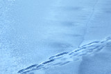 Human footprints on the surface of a frozen pond. Winter lake. Dangerous thin cracked ice