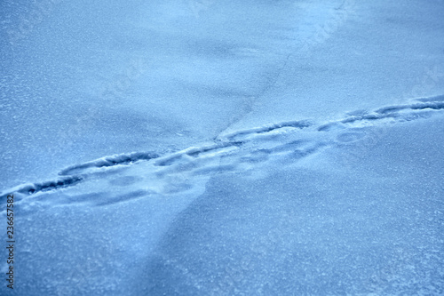Traces of a human on cracked ice. Foot prints on a frozen lake. Winter background