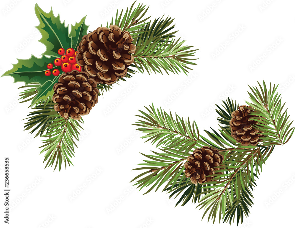 Vector Christmas tree branch with pine cones and mistletoe - obrazy, fototapety, plakaty 