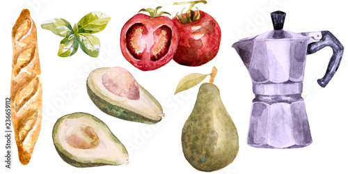 Watercolor vegetables set. Painted natural organic fresh farm food illustration on white background.