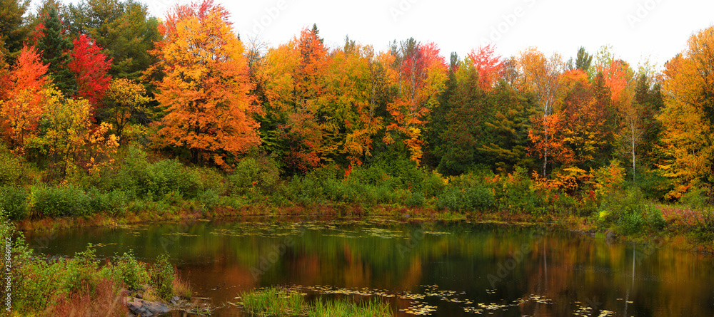 Fototapeta premium Panoramic view of autumn trees by the pond