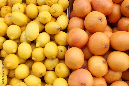 Many yellow shining organic lemon and oranges  on market light background pattern