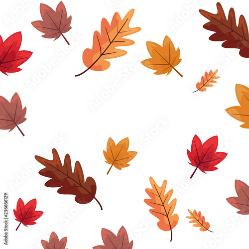 autumn leaves foliage decoration background