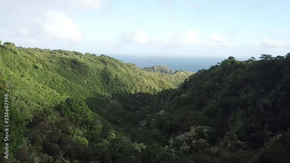Maui East Shore- Remote Canyon- Road to Hana' Maui East Shore- Remote Canyon- Road to Hana'