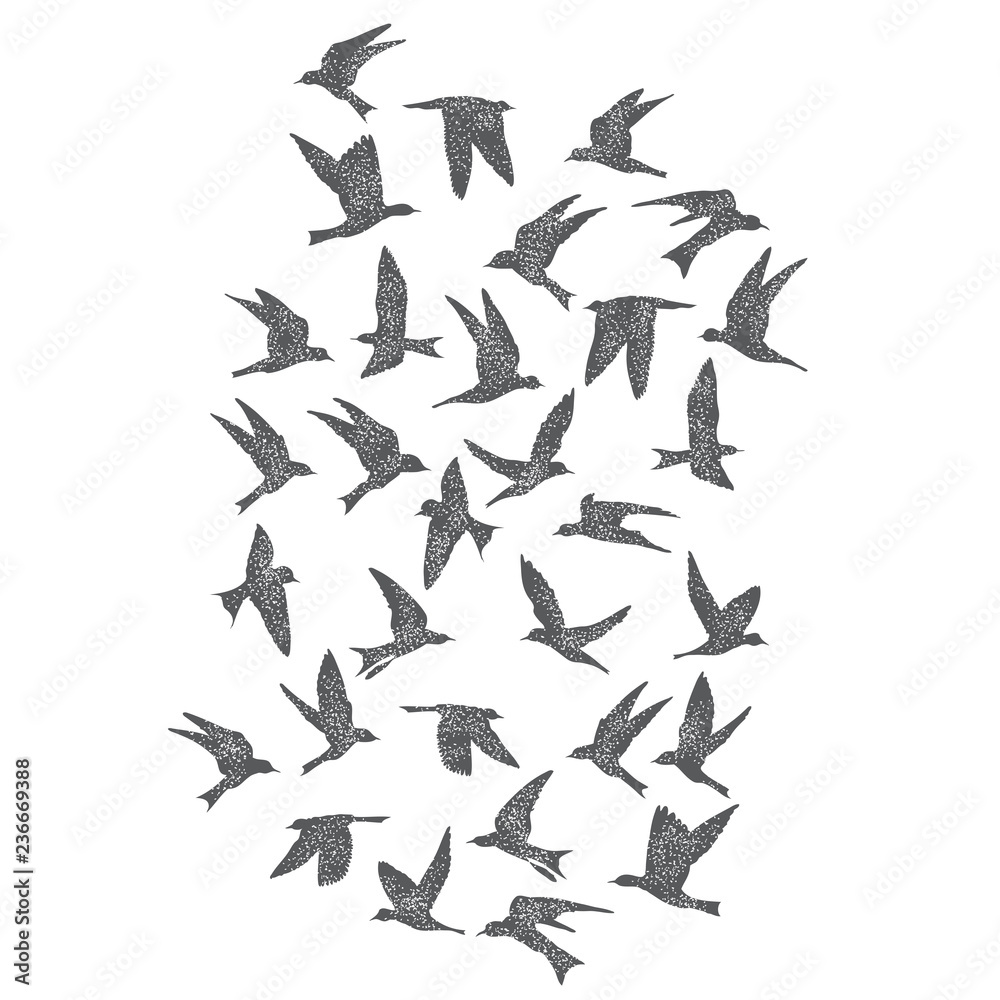 Silhouette of city flying birds on white background. Inspirational body flash tattoo ink. Set of textured stipple grey birds fly swallows, hand made. Vector. Silhouette of city flying birds on white background. Inspirational body flash tattoo ink. Set of textured stipple grey birds fly swallows, hand made. Vector.