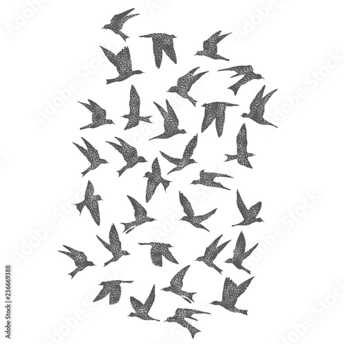 Silhouette of city flying birds on white background. Inspirational body flash tattoo ink. Set of textured stipple grey birds fly swallows, hand made. Vector.