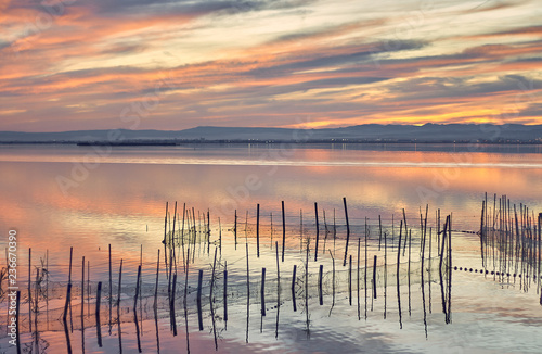 Sunset in the calm waters of the Albufera de Valencia  Spain.