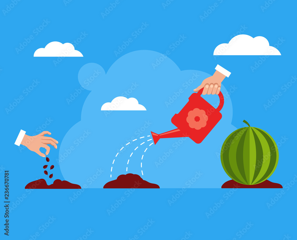 Seed watermelon fruit tree growing stages steps. Gardening concept. Vector  flat cartoon design graphic isolated illustration Stock Vector | Adobe Stock