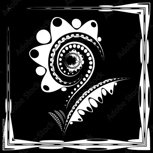 Fototapeta Naklejka Na Ścianę i Meble -  Gentle abstract white flower in the form of a sunflower or garden with large petals and a stem on a black background.