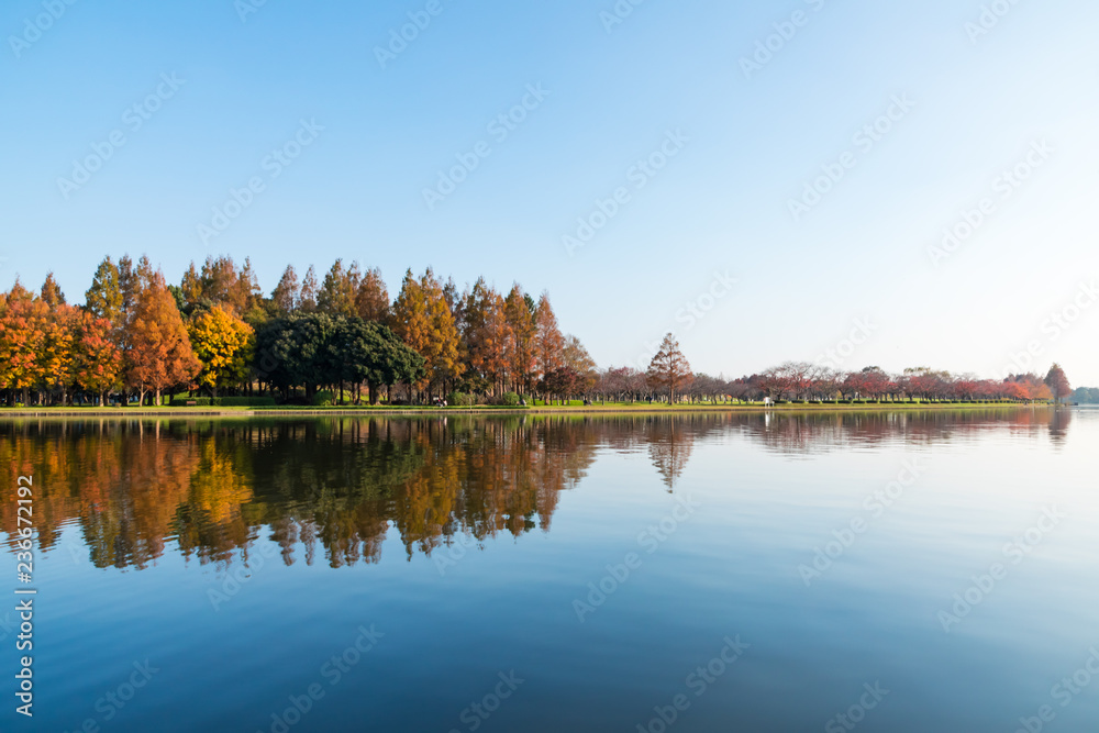 (東京都ｰ風景)水面に映る紅葉する木々４