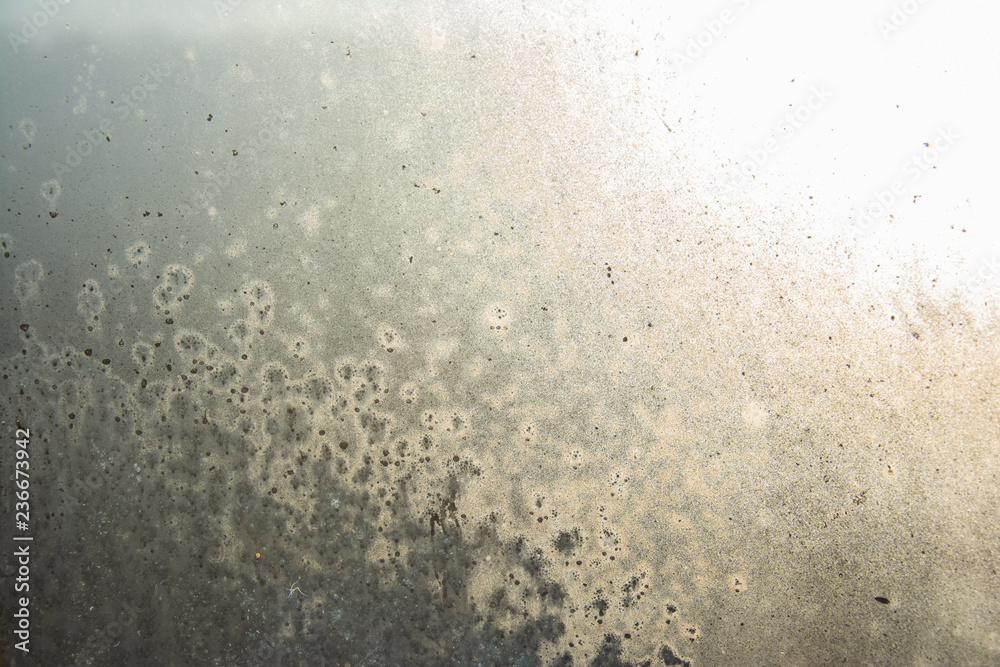 Obraz premium Frosted glass in winter