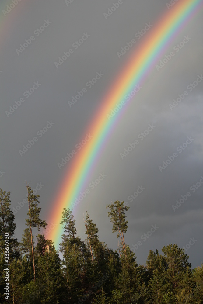 bright rainbow bright rainbow