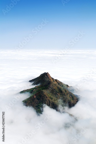 A lush mountain peak above a thick layer of clouds in Chile's Parque Nacional La Campana
