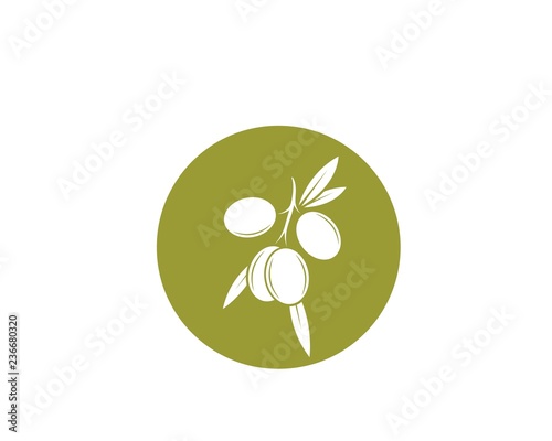 olive oil logo template vector