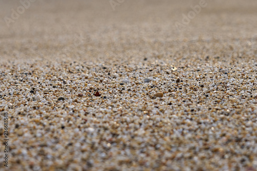  Sandy beach texture.