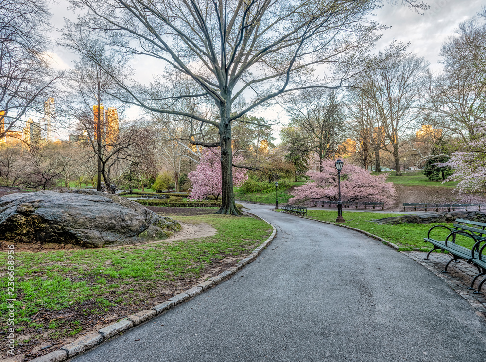 Central Park, New York City in spring