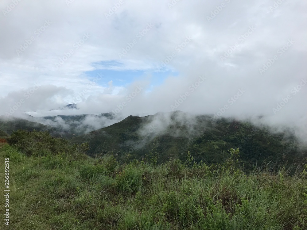 la niebla en la montaña