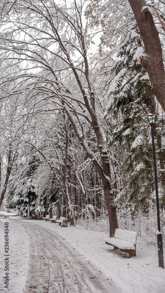 Winter Landscape of South Park with snow covered trees in city of Sofia, Bulgaria Winter Landscape of South Park with snow covered trees in city of Sofia, Bulgaria