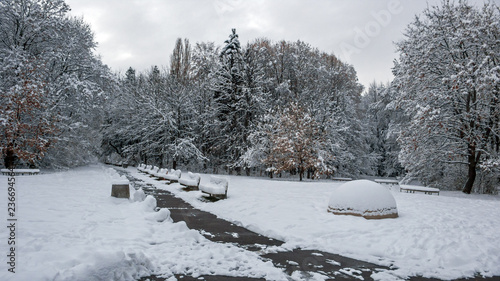 Winter Landscape of South Park with snow covered trees in city of Sofia, Bulgaria