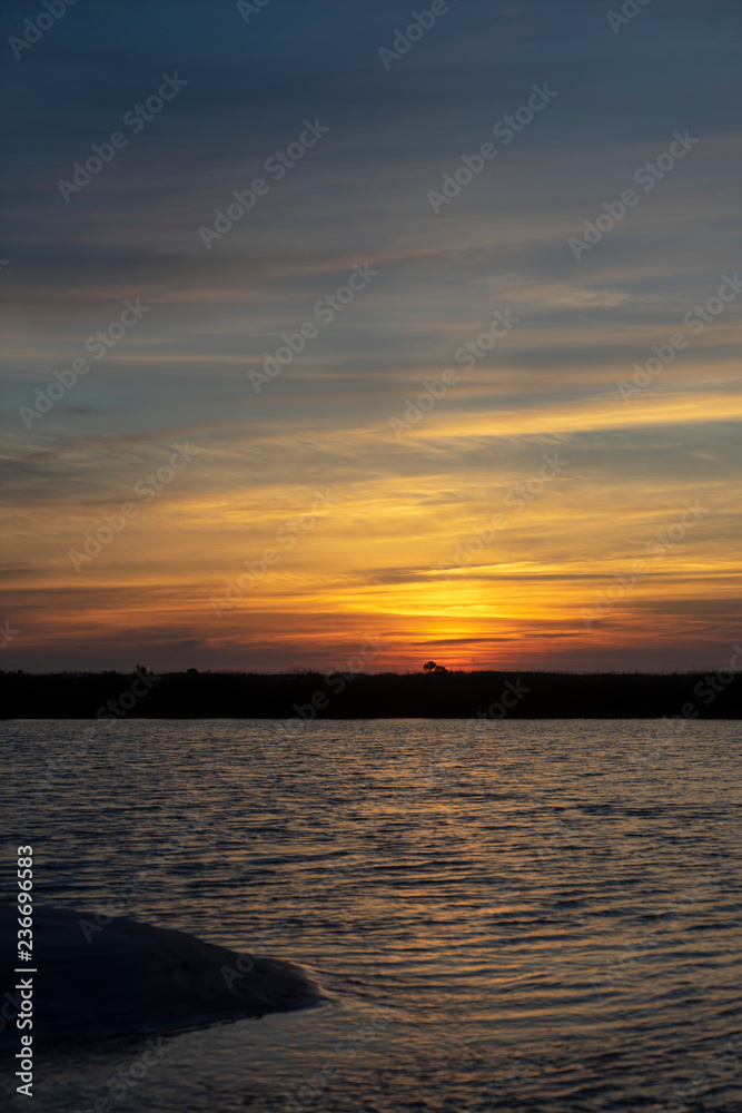 Naklejka premium Twilight