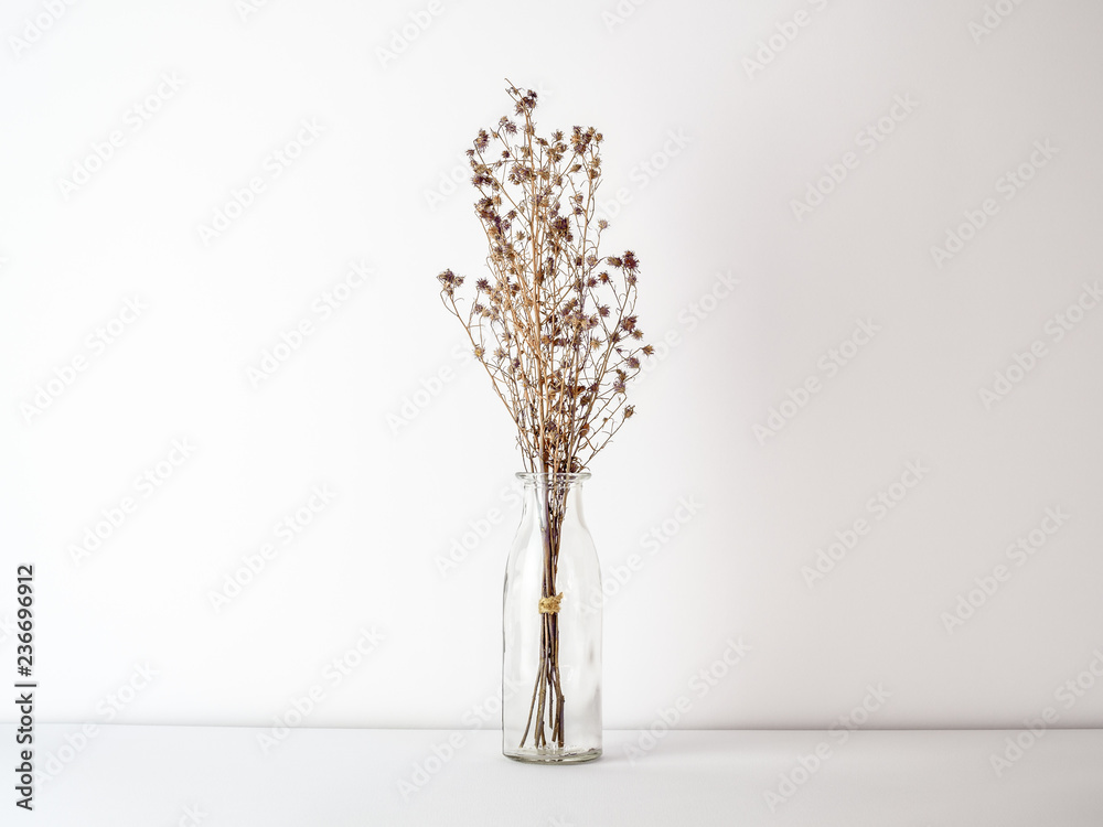 Φωτογραφία Bouquet of dried and wilted brown Gypsophila flowers in glass bottle on white fl