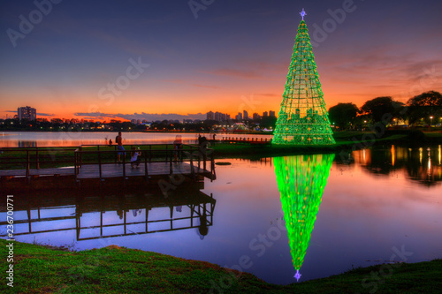 Christmas tree in the Barigui Park. photo