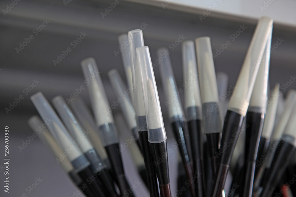 One of China's four treasures - brush and plastic cover One of China's four treasures - brush and plastic cover