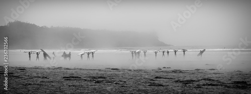 fog on the beach photo