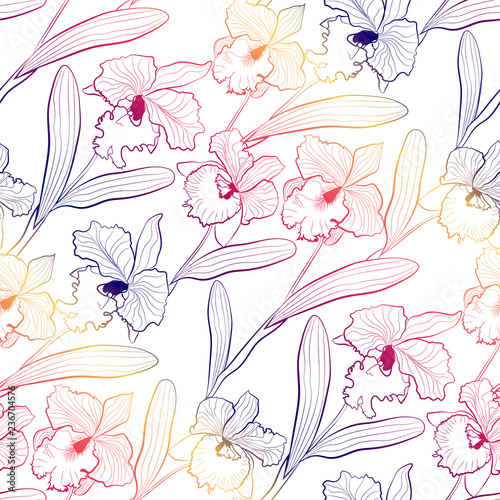Seamless orchid flowers cattleya sketched pattern white