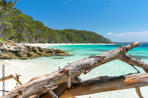 Stunning view of Murrays Beach, located within Booderee National Park in Jervis Bay Territory, a three hours drive south of Sydney, New South Wales, Australia. Driftwood tree log, crystal clear water.