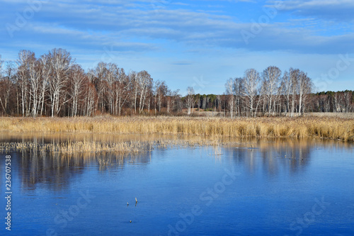Reflection of trees on the transparent ice surface of lake Uvildy in sunny autumn day. Russia, Chelyabinsk region