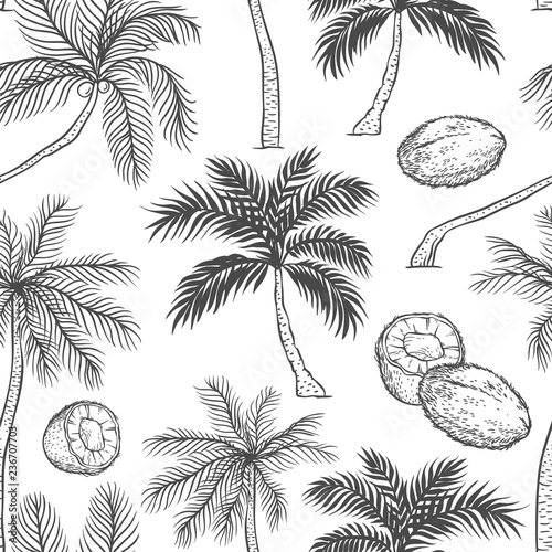 Vector seamless pattern of palm. Different black white kinds of tropical palmtrees and coconut. Contour sketch background monochrome isolated on white background. photo