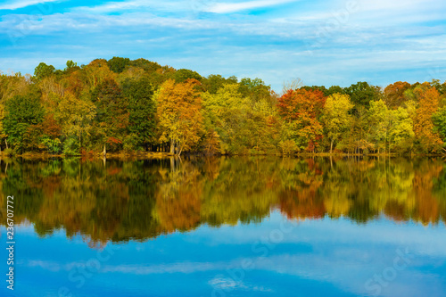 Colorful fall trees reflecting on calm water in park