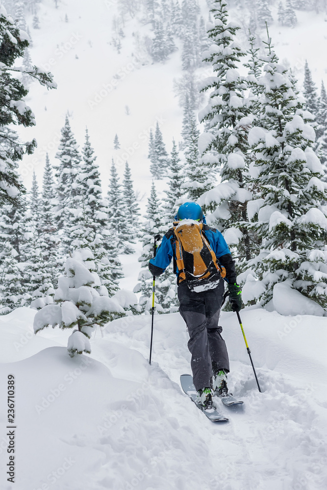 Male skier freeride skitur uphill in snow in winter forest